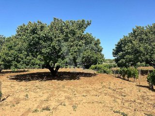 Terreno en venta en La Banda - Campo de Fútbol en Chiclana de la Frontera