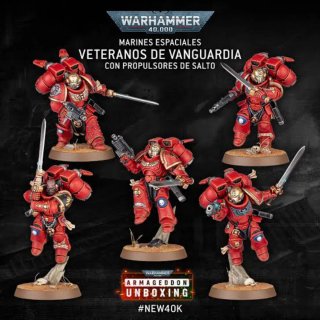 Vanguard Veterans Armageddon WH40k Marines Espacia