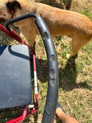 Andador con asiento y cesta
