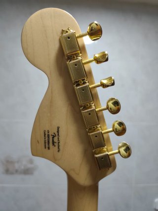 Squier Fender TelecasterDeluxe E.Limitada x PRS C.