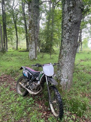 Yamaha DT 50 Supermotard