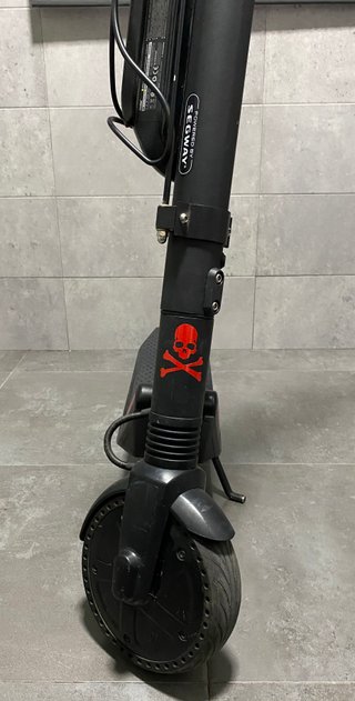 Segway Ninebot SNSC1.0 + Batería Extra