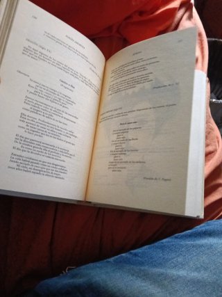 Poesía amorosa antología universal