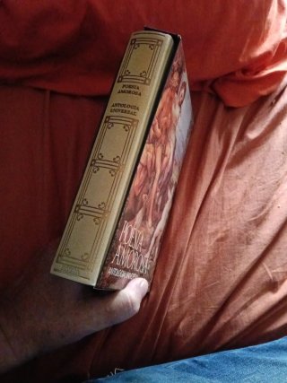 Poesía amorosa antología universal
