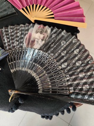 Antichi ventagli decorativi