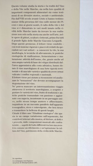 La vite e il vino nelle Marche