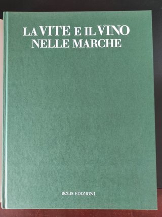 La vite e il vino nelle Marche