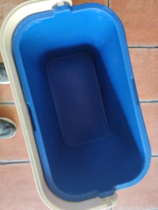 2 Neveras Portátiles Azul y Blanca