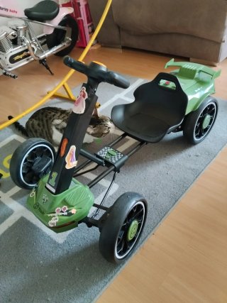 Coche eléctrico infantil verde Marca Youin