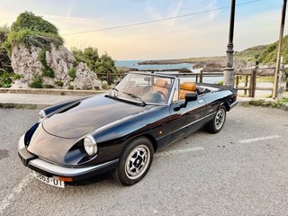 Alfa Romeo Spider 1986