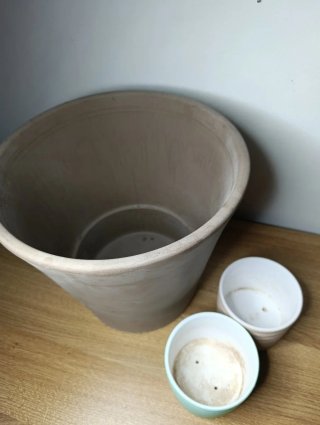 Maceta terracota grande + REGALO