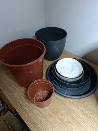 Maceta terracota grande + REGALO