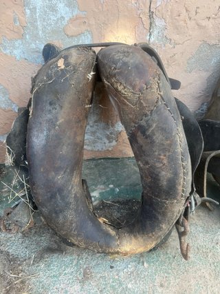 Collerón Valenciano pony 2