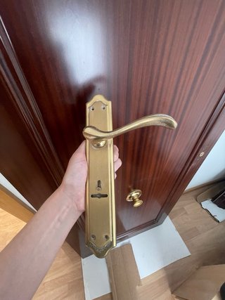 Puerta de entrada madera oscura