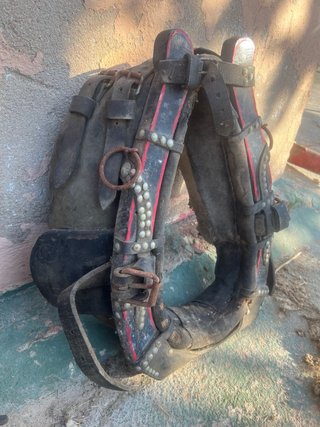 Collerón Valenciano Pony 3