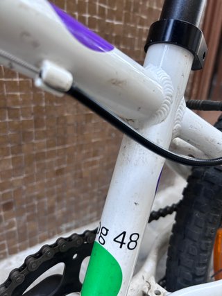 Bicicleta infantil Frog 16 pulgadas/48