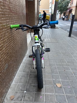 Bicicleta infantil Frog 16 pulgadas/48