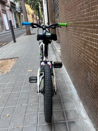 Bicicleta infantil Frog 16 pulgadas/48