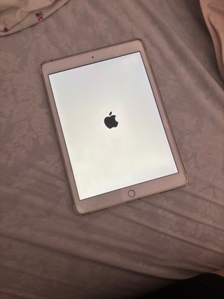 Apple iPad 8va Generación Rose Gold