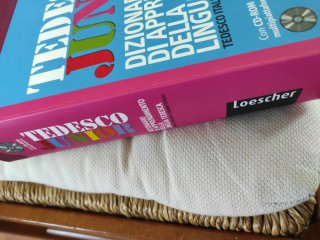 Tedesco Junior dizionario di apprendimento dell...