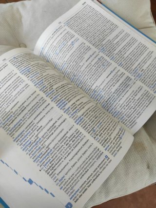 Tedesco Junior dizionario di apprendimento dell...
