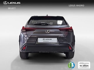 Lexus UX 2.0 300h UX Plus