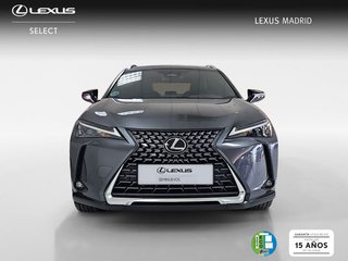 Lexus UX 2.0 300h UX Plus