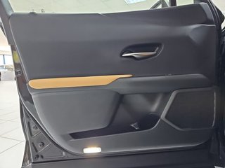 Lexus UX 2.0 300h UX Plus