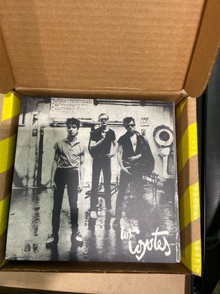 Caja 14 Vinilos 7 Punk Español Dro-Gasa- 3 ciprese