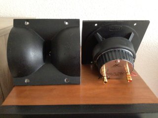 Tweeter Acoustic Control Negro