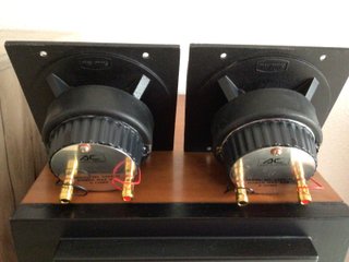 Tweeter Acoustic Control Negro