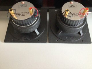 Tweeter Acoustic Control Negro