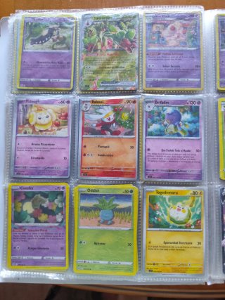 Cartas Pokémon