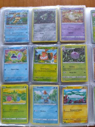 Cartas Pokémon