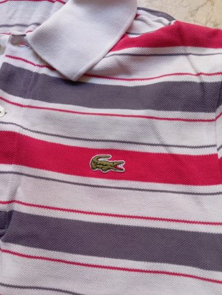 Polo Lacoste Rayas Gris, Rojo y Blanco