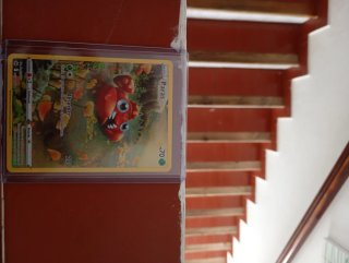 Carta Pokémon Paras Básico 70 HP
