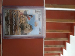 Carta Pokémon Mudsdale 150 HP
