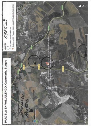 AGRARIO. PASTOS TERRENO