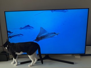 Samsung Smart TV 55” 4K UHD (modelo UE55TU8506)