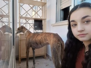 Cuidador mascotas
