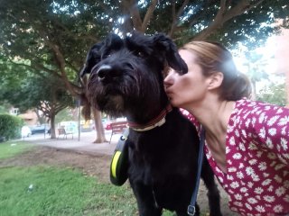 Cuidador mascotas