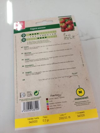 Semillas de Fresas Mascarell