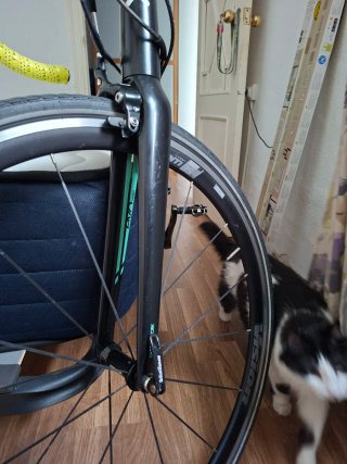 Bicicleta de competición BTWIN
