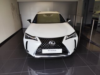 Lexus UX250h BUSINESS CITY 2022 REF 8312