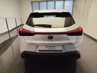 Lexus UX250h BUSINESS CITY 2022 REF 8312
