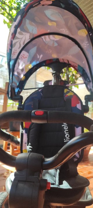 Triciclo evolutivo Lionelo