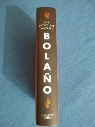 Los Detectives Salvajes. Edición Ilustrada. Bolaño