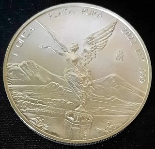 Moneta 1 Onza Plata 2022 Ley 999