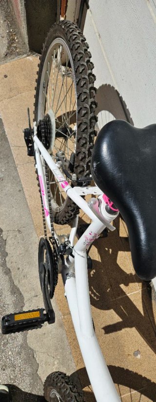 Bicicleta infantil 24 niña niño