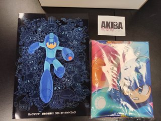 Rockman 11 Collector's Package Switch